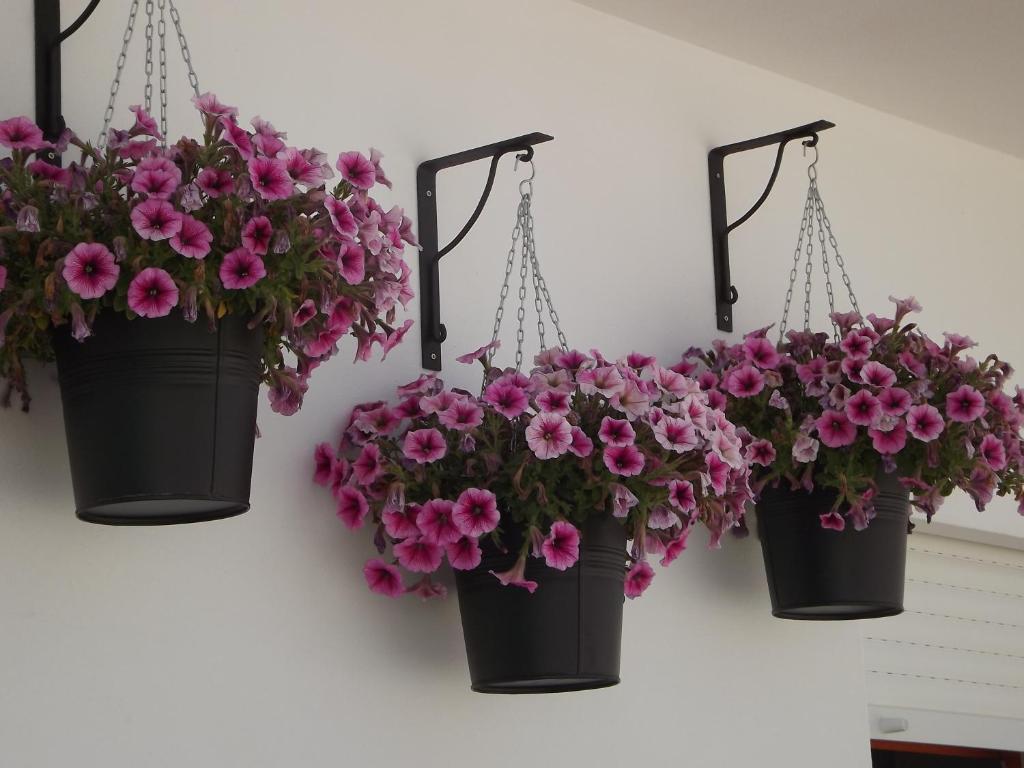 Entrecubos Guesthouse 오양 객실 사진
